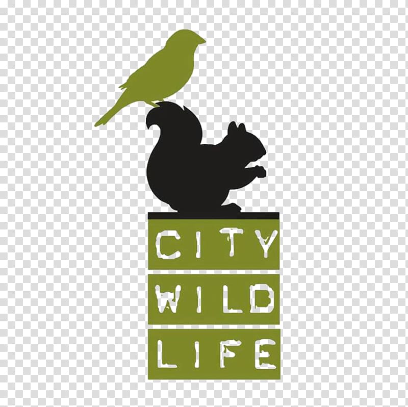 City Wildlife Inc 11th Street Bridge Park Urban wildlife Animal, Bird transparent background PNG clipart