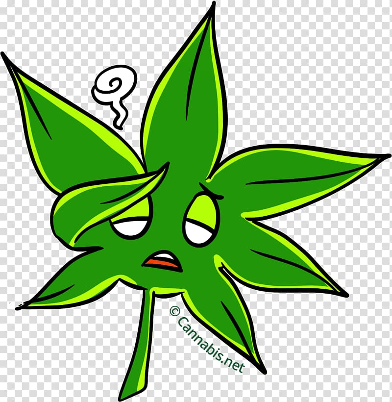 Cannabis tea Cannabis Cup Marijuana Leaf, cannabis leaves transparent background PNG clipart