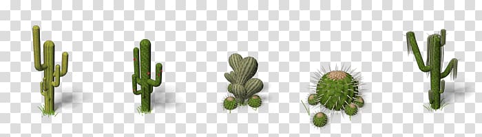 Cactaceae Saguaro , others transparent background PNG clipart