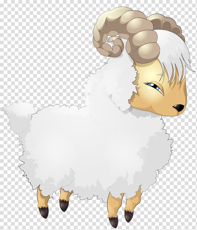 white ram ullustration, Sheep Cartoon Drawing, Sheep Cartoon transparent background PNG clipart