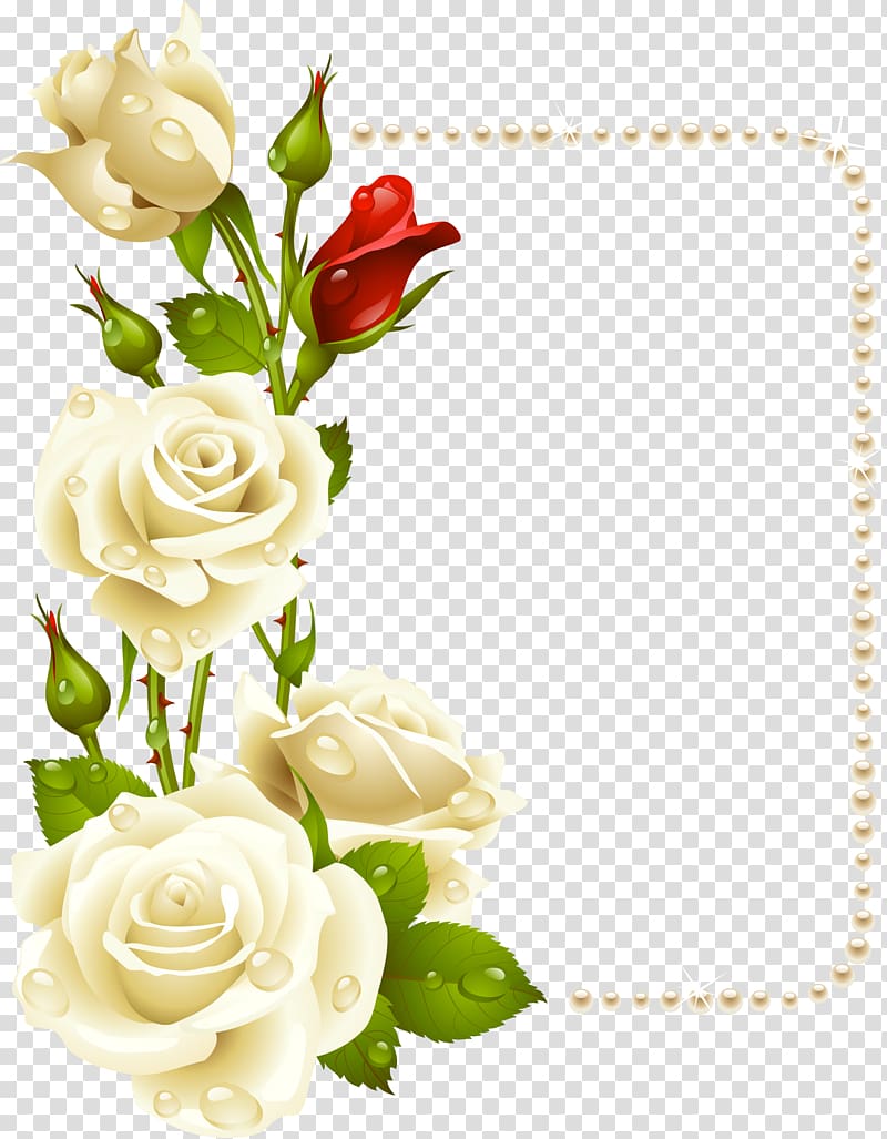 beige and red rose flowers illustration, Rose frame White , white roses with pearls card transparent background PNG clipart