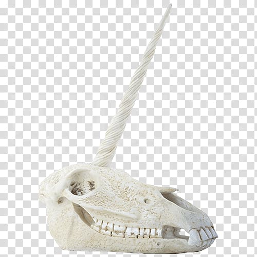 Skull Bone Human skeleton Horn, skull transparent background PNG clipart