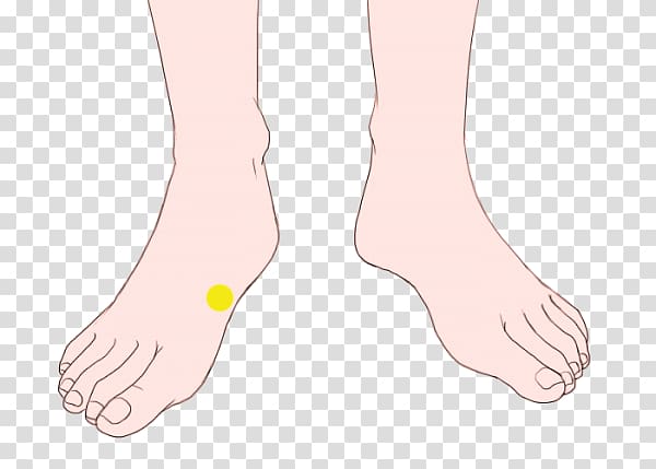 Thumb Toe Shoe Ankle Human leg, Abdominal Pain transparent background PNG clipart