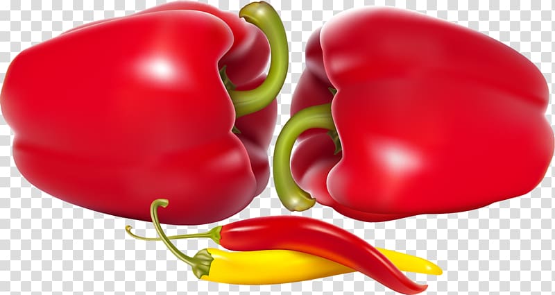 Bell pepper Poblano Chili pepper Vegetable, pepper transparent background PNG clipart