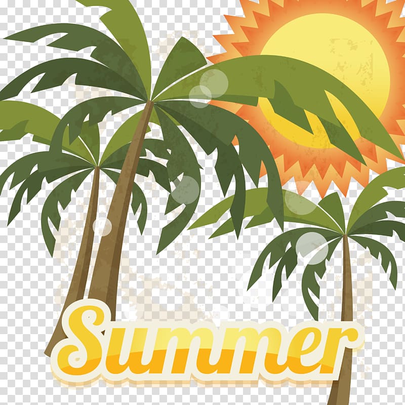 Summer Euclidean Illustration, Coconut tree transparent background PNG clipart