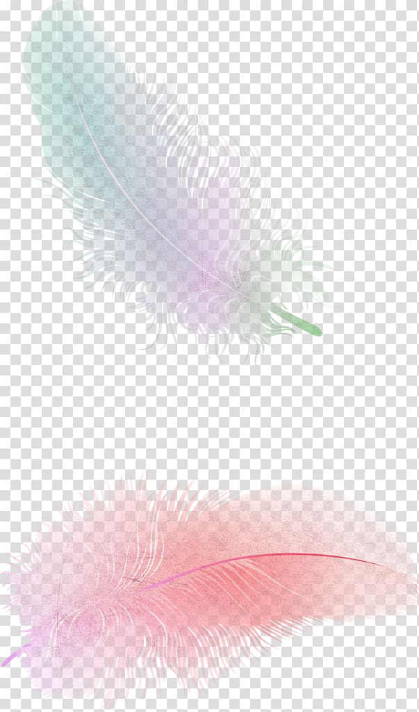 pink feathers, Feather Color gradient Euclidean , Green Fresh Feather Decorative Patterns transparent background PNG clipart