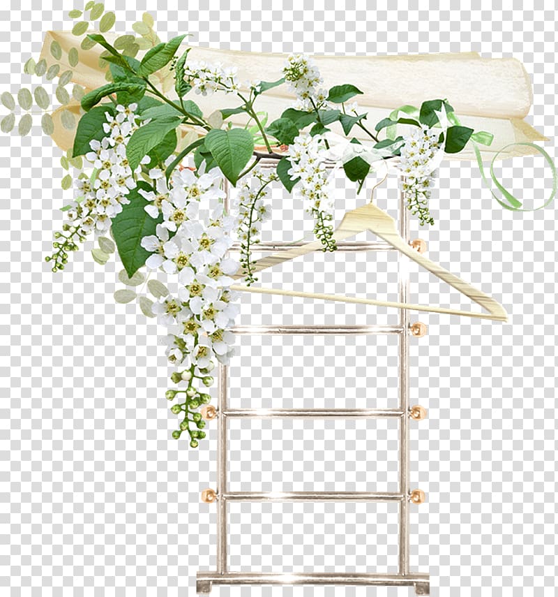 Prunus padus Flower Garden roses , Ladder transparent background PNG clipart