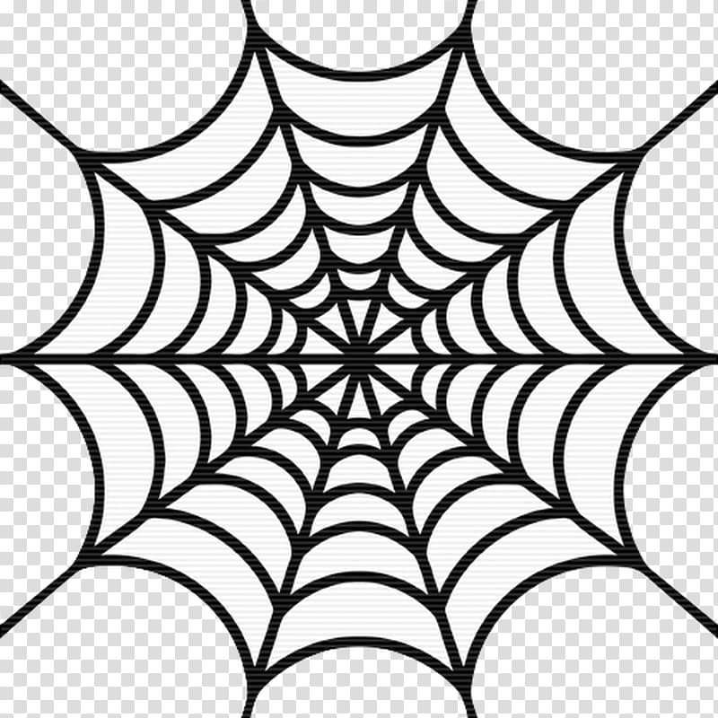 Spider web Open Drawing, spider transparent background PNG clipart