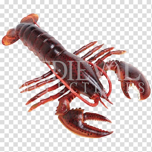 American lobster Spiny lobster Lobster trap Lobster fishing, lobster transparent background PNG clipart