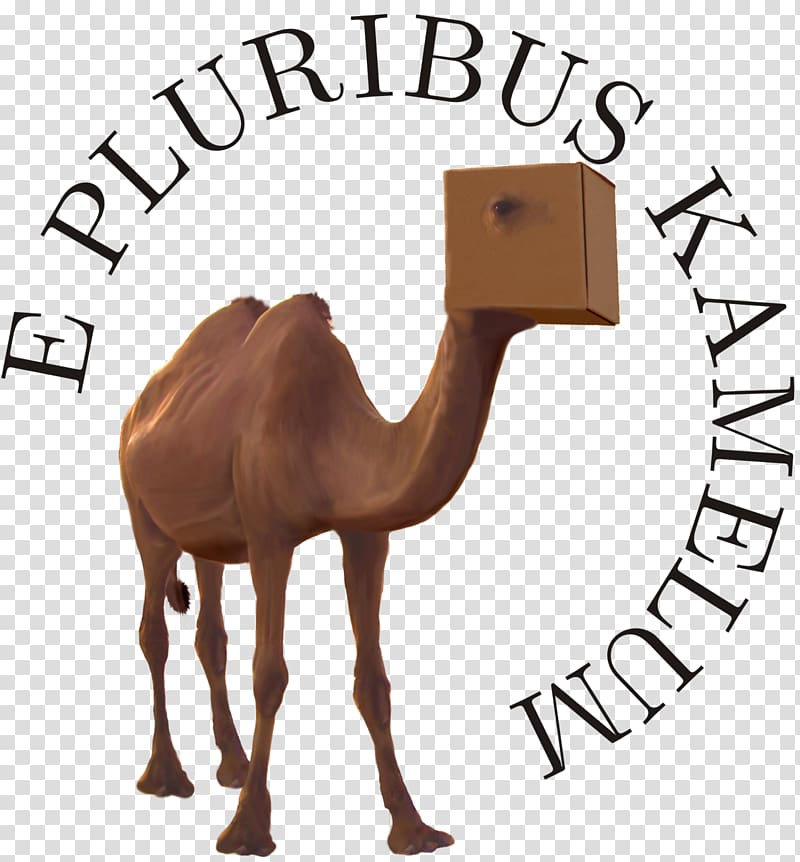 Dromedary Kamelopedia Wikipedia Satire-Wiki, Kamelopedia transparent background PNG clipart