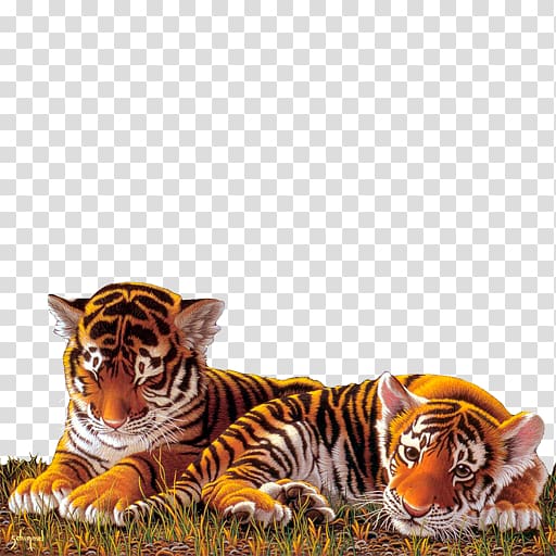 Tiger Work of art Painting Cat, tiger transparent background PNG clipart