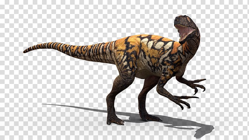 Tyrannosaurus Australovenator Velociraptor Australian Age of Dinosaurs Muttaburrasaurus, t rex transparent background PNG clipart