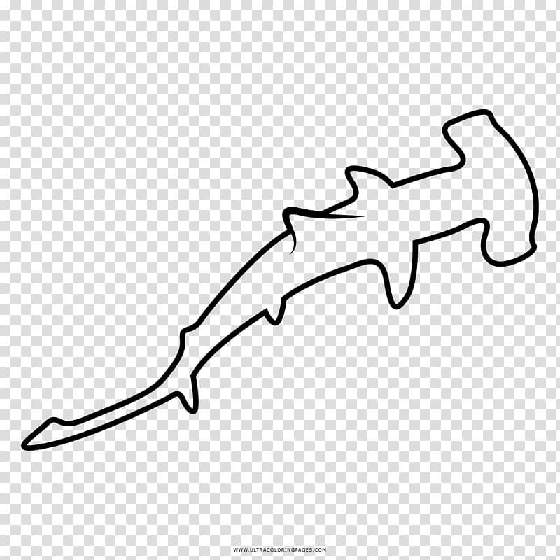 Shark Great hammerhead Drawing Coloring book Bonnethead, shark transparent background PNG clipart