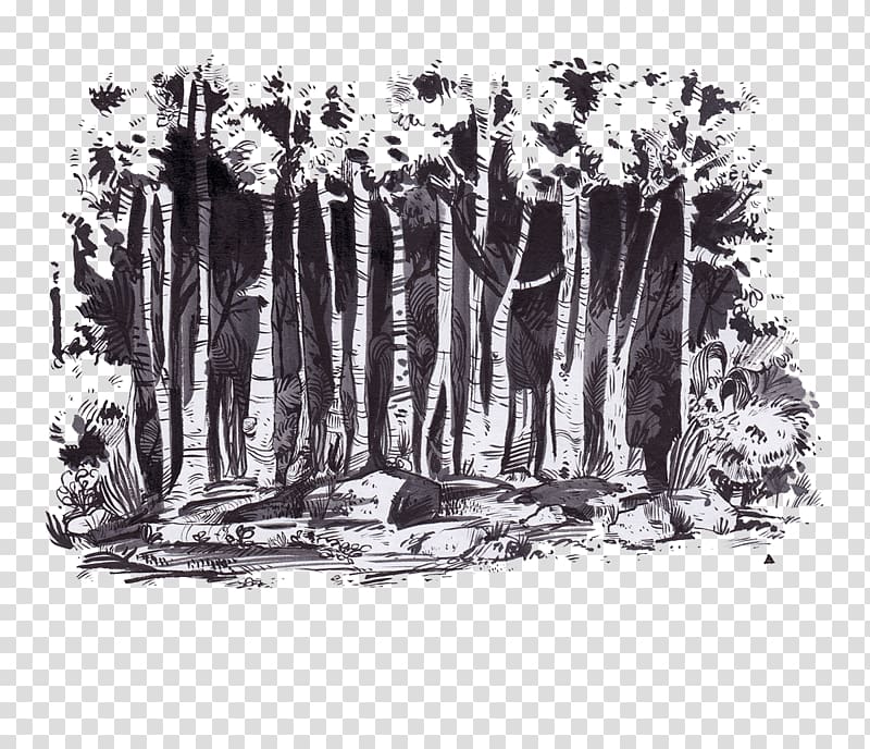Roblox Dark Forest Background
