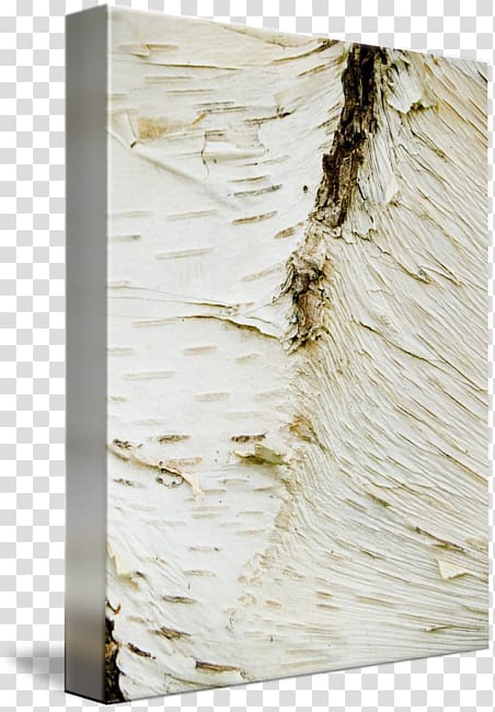 Plywood, Birch Bark transparent background PNG clipart