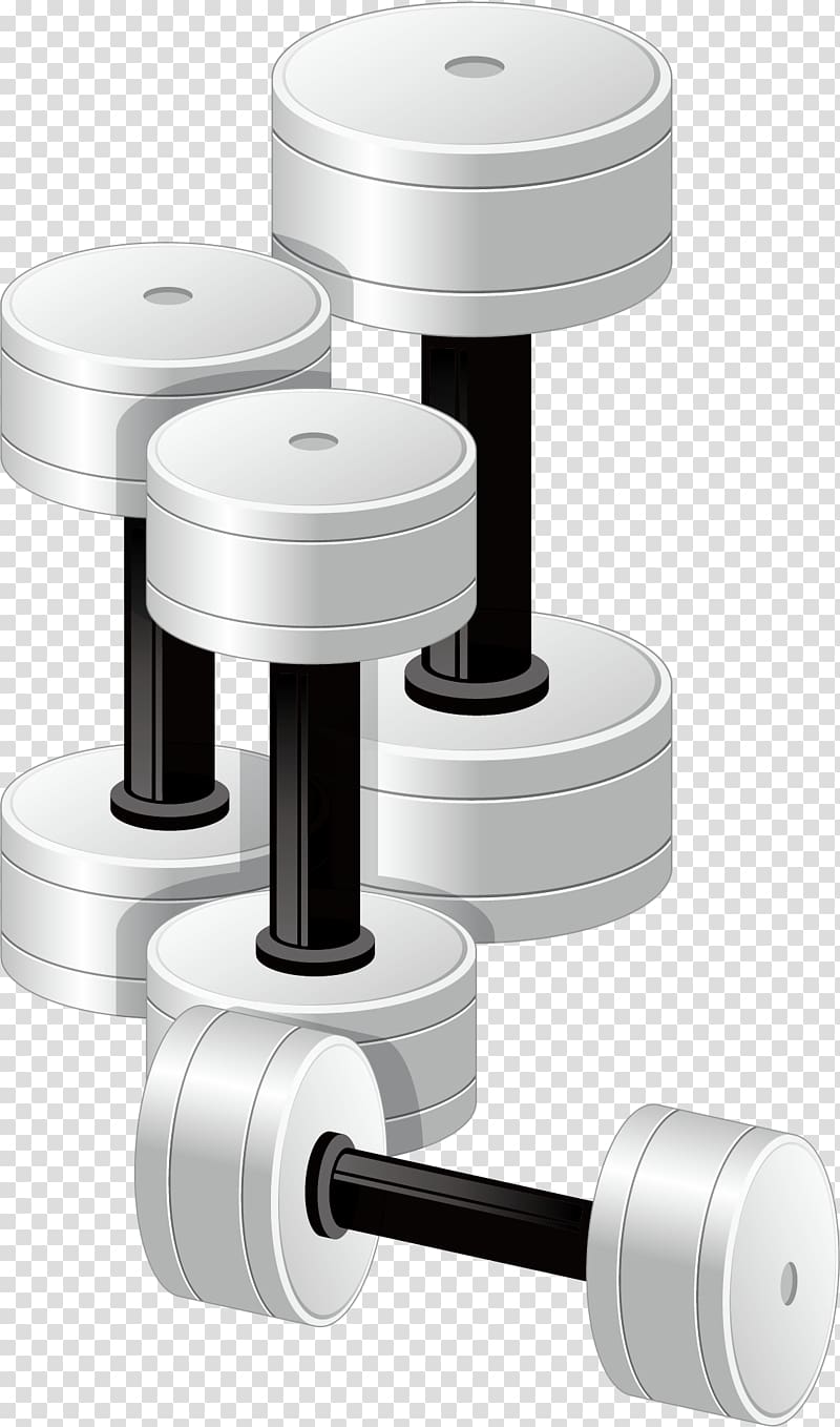 Euclidean Physical exercise Physical fitness Dumbbell, Barbell material transparent background PNG clipart