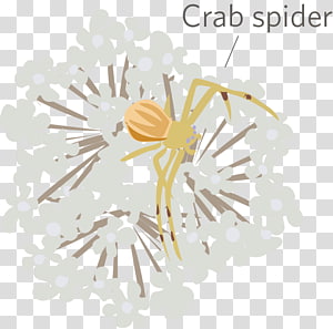 Line Organism, design transparent background PNG clipart thumbnail