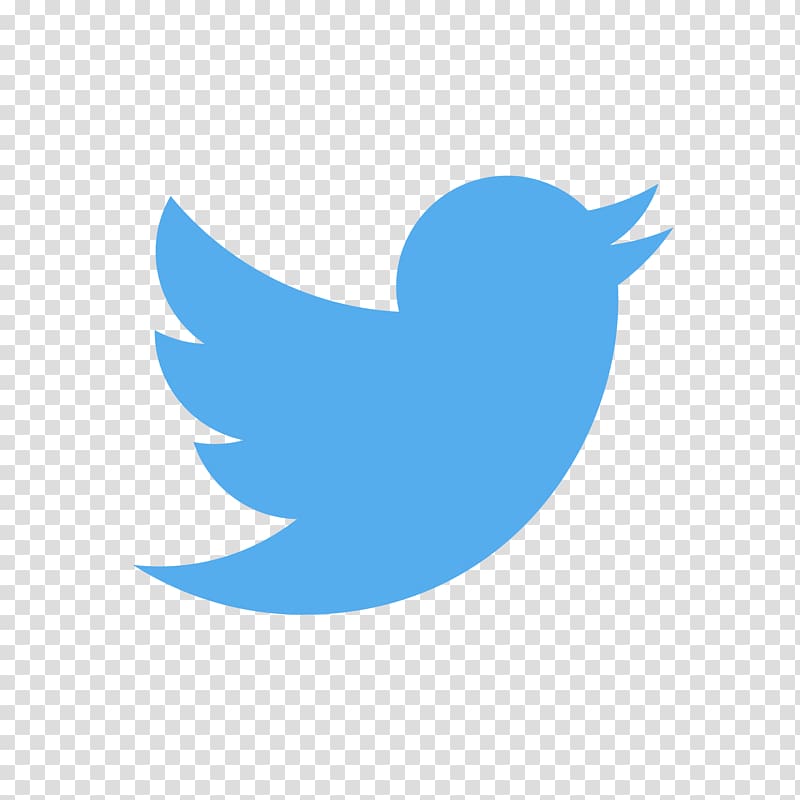 twitter logo no background