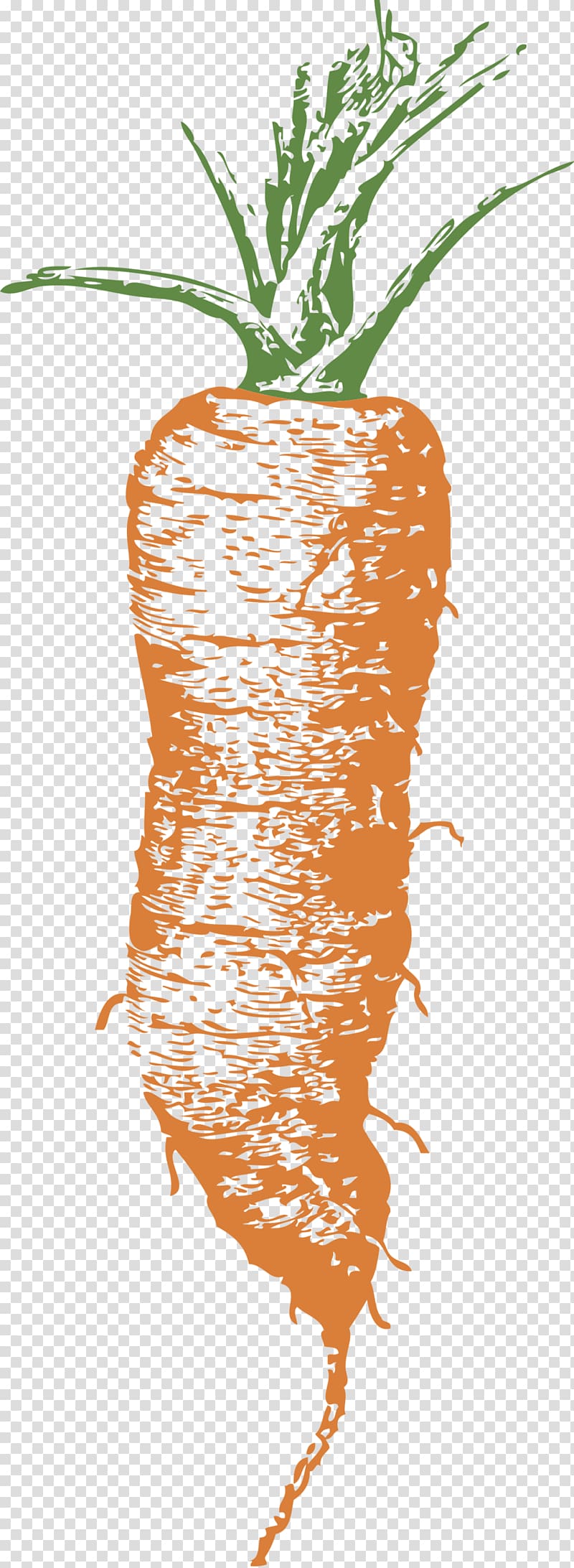 Carrot , carrot transparent background PNG clipart