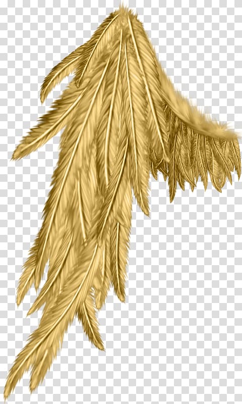 Angel wing Angel wing, others transparent background PNG clipart
