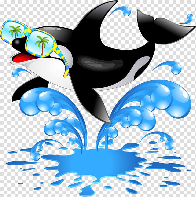 Killer whale Cetacea , dolphin transparent background PNG clipart