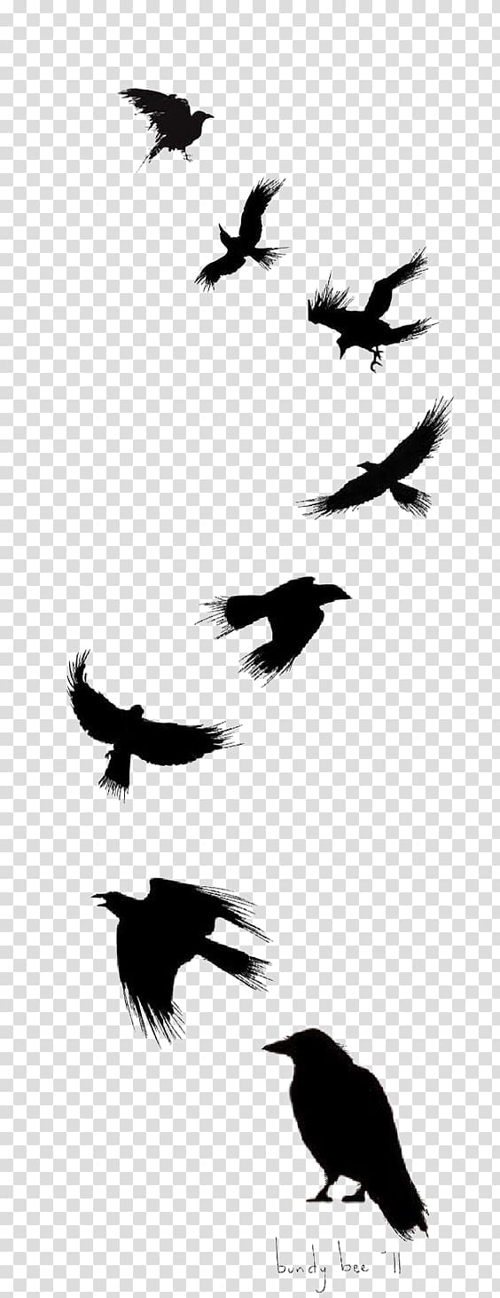 eight black birds, Common raven Bird Tattoo Drawing Flight, Ink Crow transparent background PNG clipart