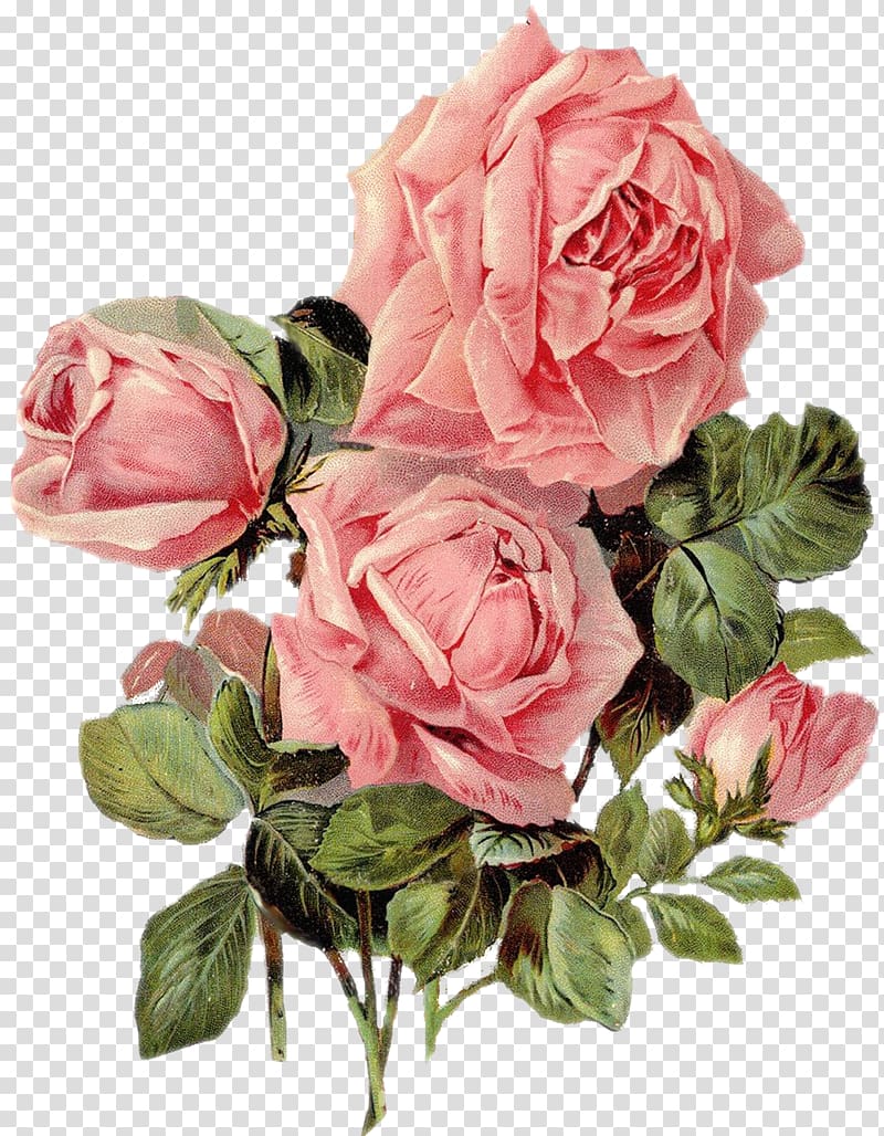 Paper Rose Printing Flower Art, rose transparent background PNG clipart ...