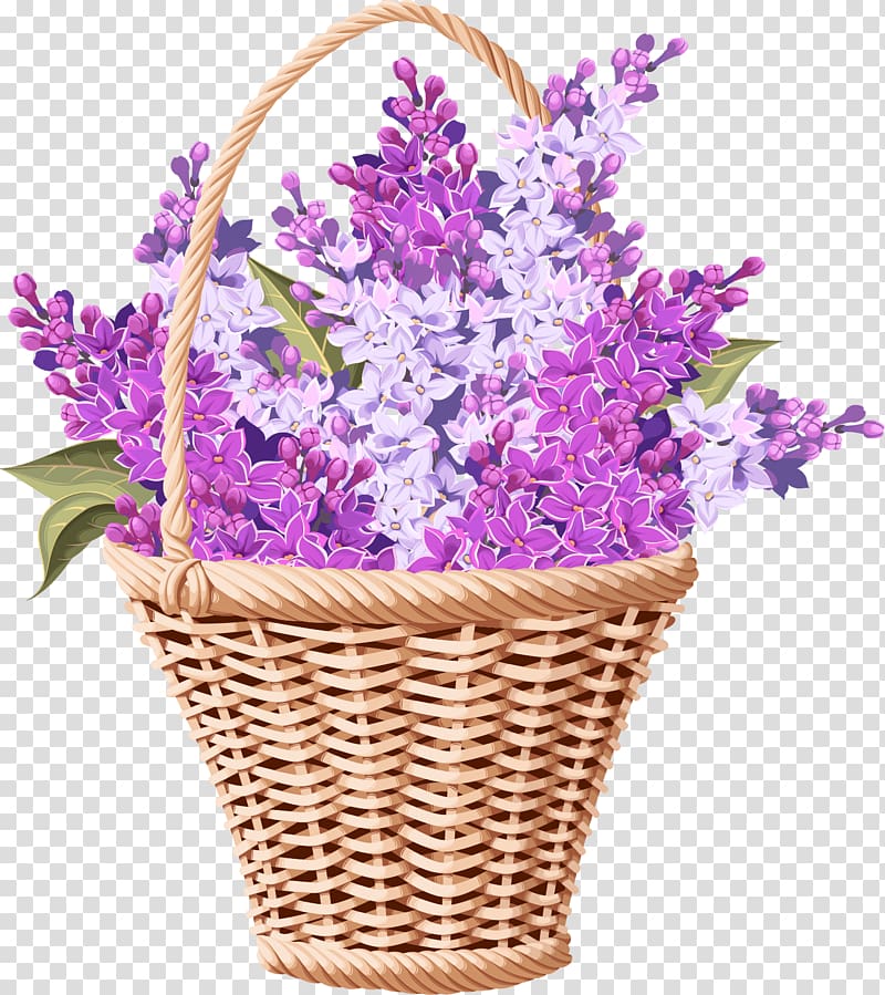 Lavender Flower, Lavender flower baskets transparent background PNG clipart