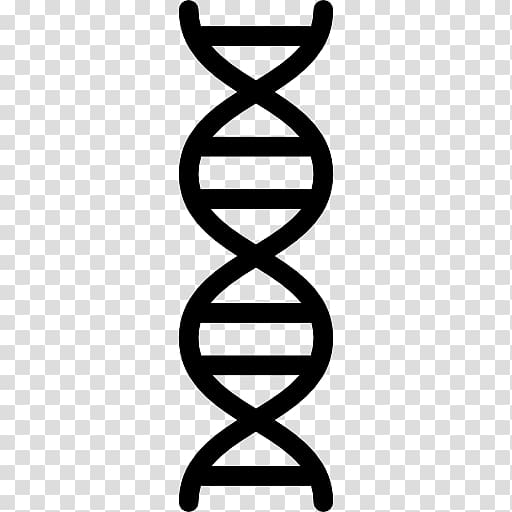 The Double Helix: A Personal Account of the Discovery of the Structure of DNA Nucleic acid double helix, chromosome transparent background PNG clipart