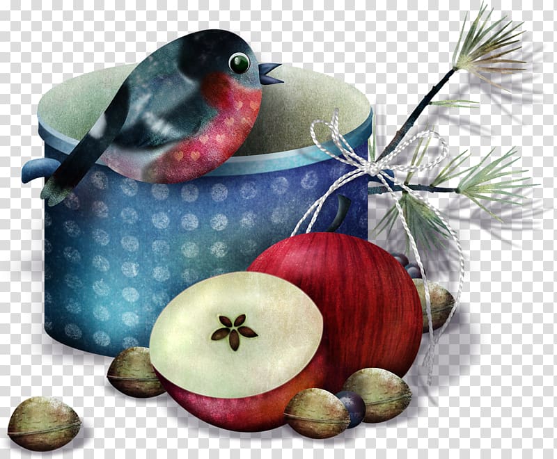 Bird Soup Garlic Butternut squash Paprika, Bird transparent background PNG clipart