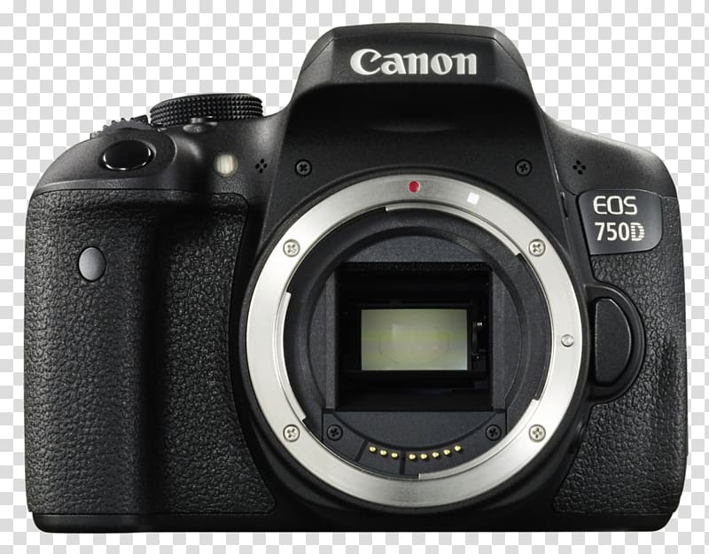 Canon EOS 700D Canon EOS 800D Canon EOS 200D Digital SLR Camera, Camera transparent background PNG clipart