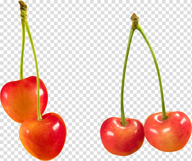 Cerasus Cherry , cherry transparent background PNG clipart
