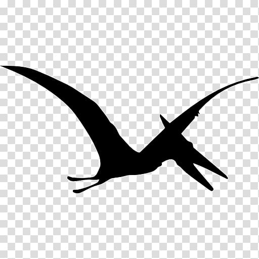 Flying Bird Background png download - 600*450 - Free Transparent Pterodactyl  png Download. - CleanPNG / KissPNG