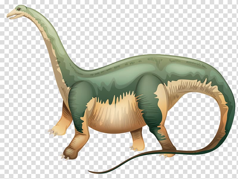 Apatosaurus Brachiosaurus Dinosaur , Green dinosaur transparent background PNG clipart