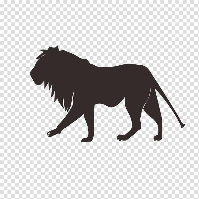 Lion Tiger Cougar Felidae, lion transparent background PNG clipart