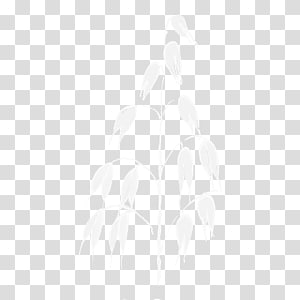 White Desktop Computer Font, Computer transparent background PNG clipart thumbnail