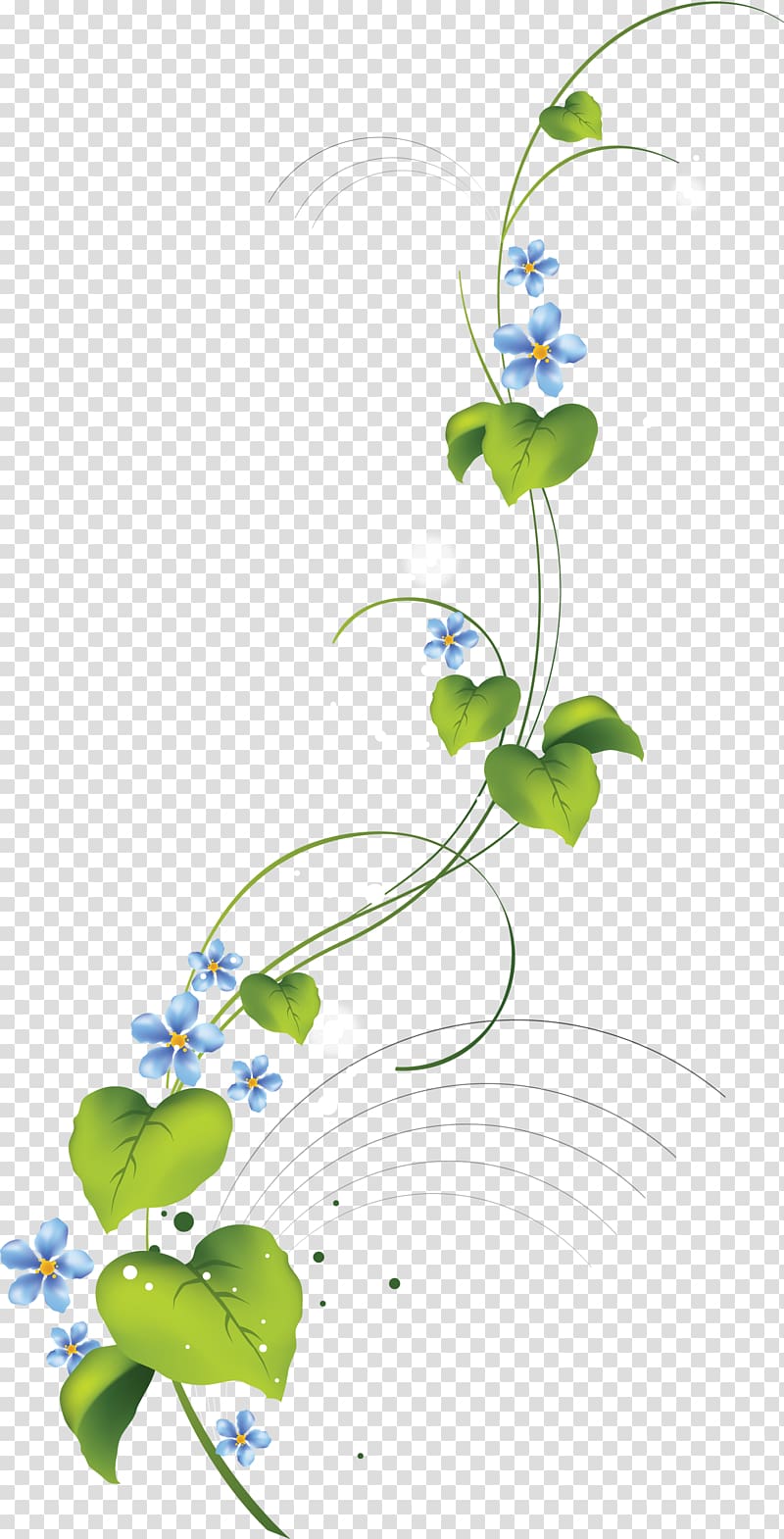 Vine Leaf Herbaceous plant, green flower transparent background PNG clipart