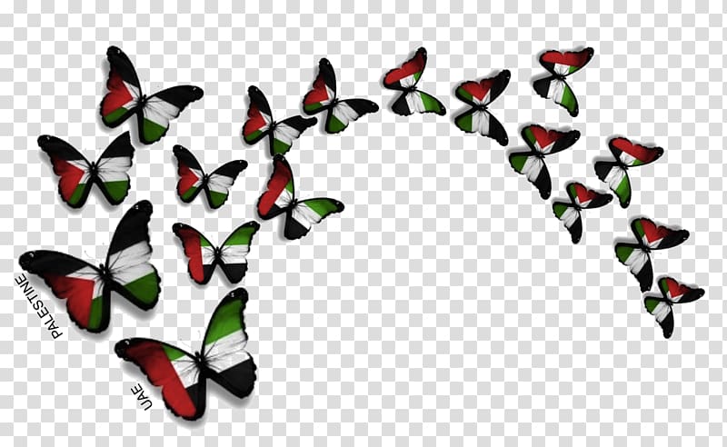 Dubai Baghdad Butterfly Palestine Intifada, uae transparent background PNG clipart