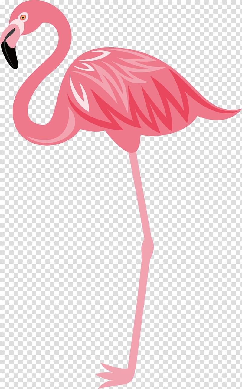 hand-painted flamingos transparent background PNG clipart