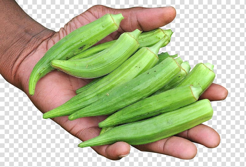 Vegetarian cuisine Okra Food, Hand with Okra transparent background PNG clipart