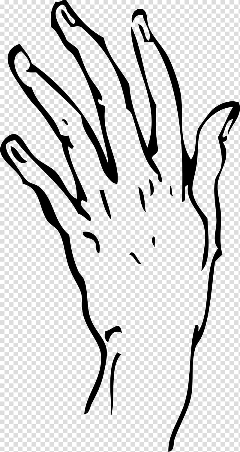 Finger Hand Upper limb Thumb , hand transparent background PNG clipart