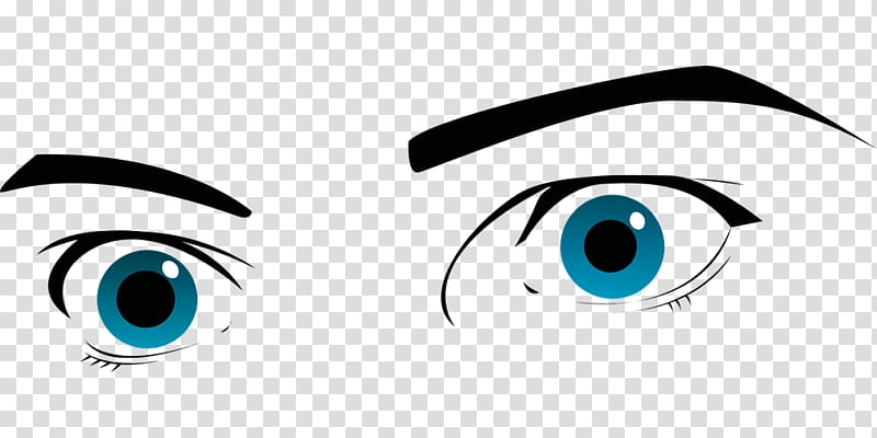 Eyebrow , Eye transparent background PNG clipart
