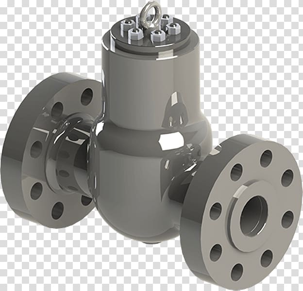 Check valve Gate valve Seal Globe valve, Seal transparent background PNG clipart