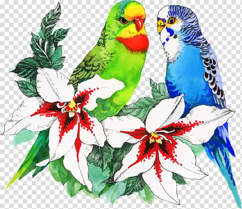 Bird Parrot Drawing Flower, watercolor animals transparent background PNG clipart