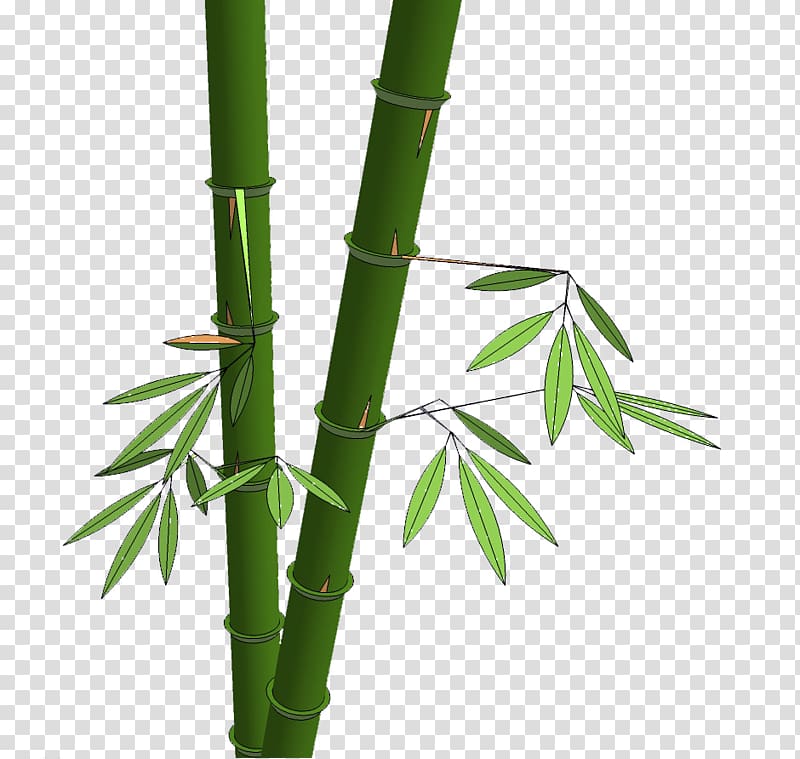 Bamboo shoot Hsinchu, Hsinchu bamboo material transparent background PNG clipart