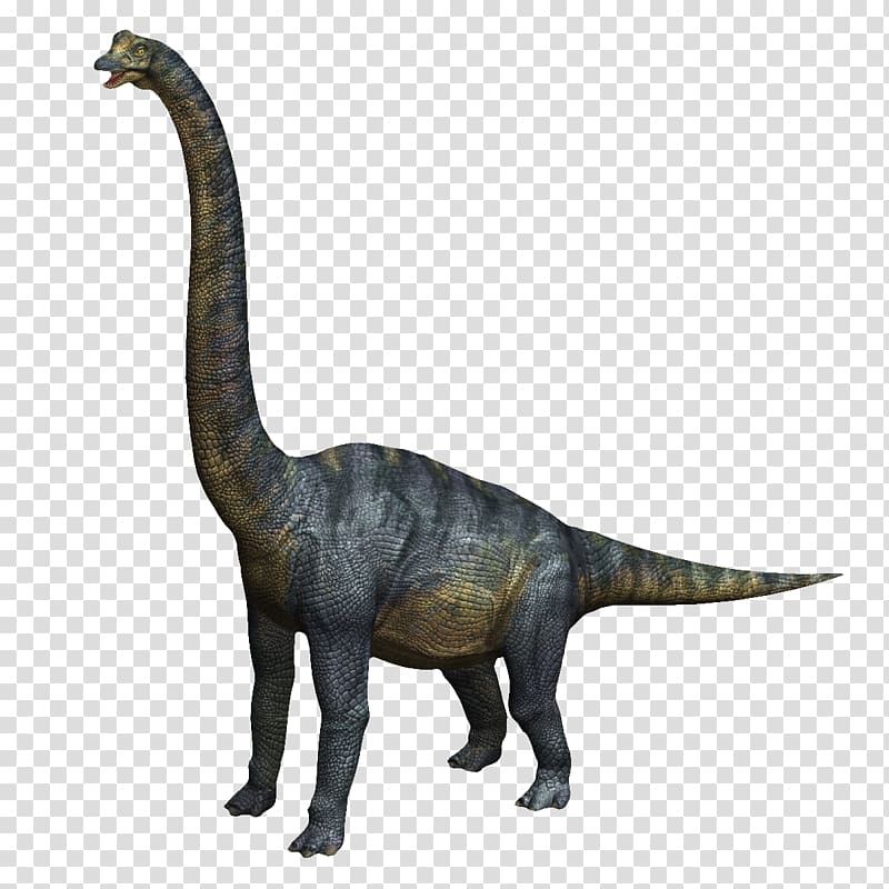 gray and brown dinosaur illustration, Velociraptor Brachiosaurus Tyrannosaurus Baryonyx Triceratops, Blue dinosaur transparent background PNG clipart
