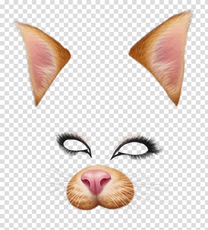 cat mask logo, Snapchat Filter Brown Cat transparent background PNG clipart