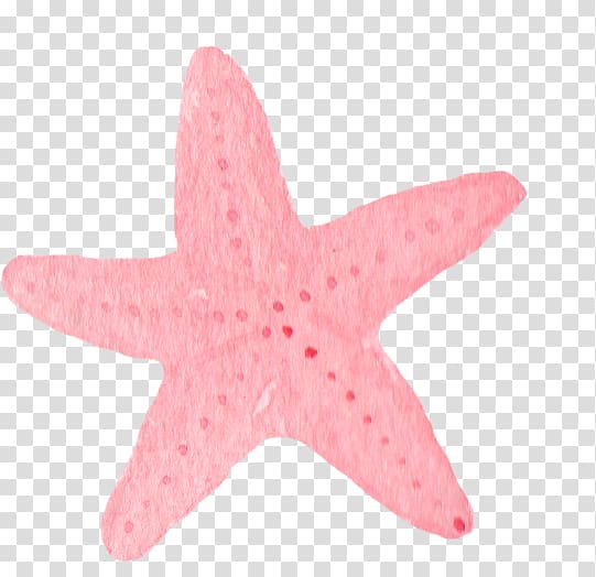 Pink Starfish Starfish Starfish Transparent Background Png