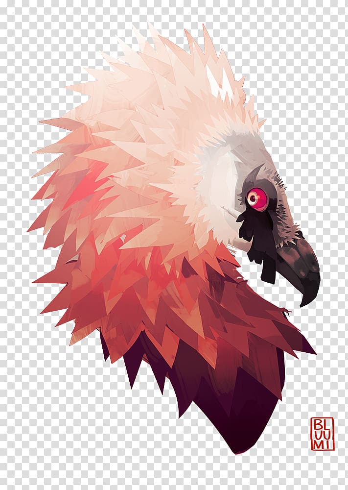 Bird Bearded vulture Artist, drawing hair vulture transparent background PNG clipart