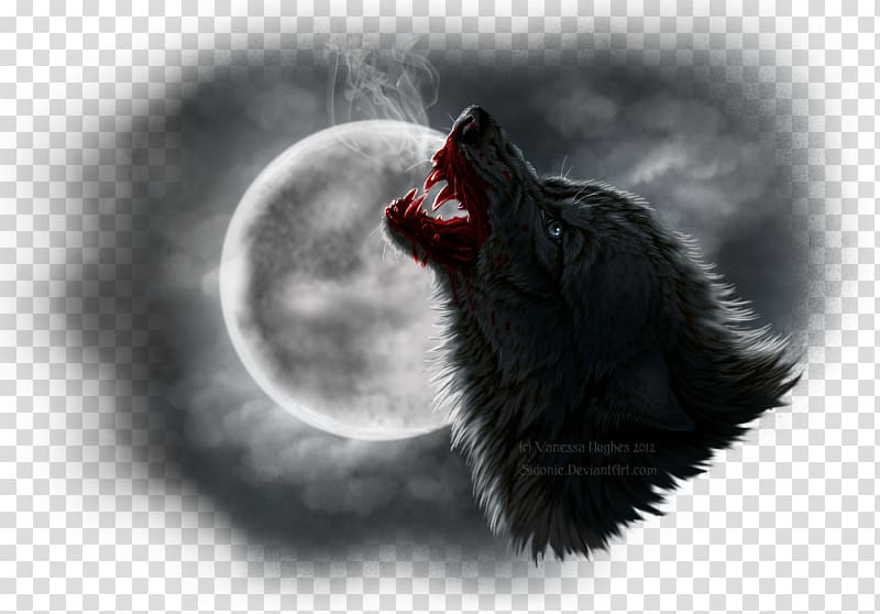 Dog Werewolf Jacob Black Art Aullido, Dog transparent background PNG clipart